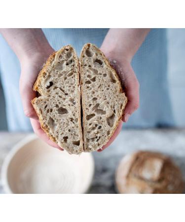 Fleischmann's Active Yeast 2 LB Bag - 2 Pound Pack - Fresh Baking Yeast - Buy Online on GoSupps.com