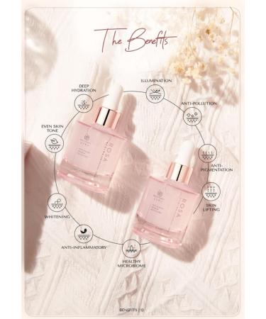RosyFoxy Rosa Hyaluronic Acid Serum - Anti-Aging Collagen Serum for All Skin Types Hydrates & Repairs Fine Lines - 30 mL - Made in Korea - Buy Online on GoSupps.com