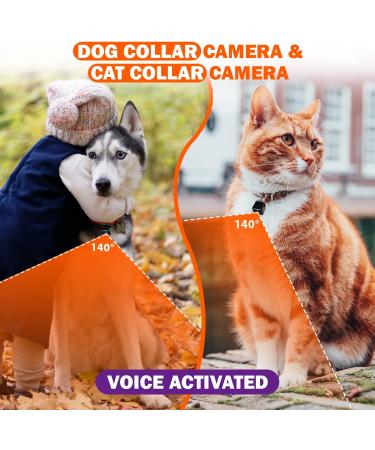Pet Collar Camera Kit | Capture Adventure in 1080p with Night Vision | Mini Spy Camera for Dogs and Cats | No WiFi Needed - Buy Online on GoSupps.com