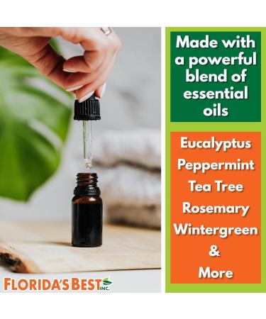 APR Balm Liniment #21 - 16 FL OZ Relief for Back Neck & Joints | Fast-Acting Eucalyptus & Peppermint Lotion | American Made Family Owned - Buy Online on GoSupps.com