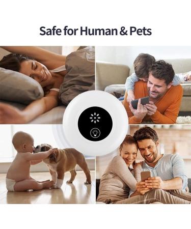 Ultrasonic Pest Repeller 6 Pack Pest Repellent Ultrasonic Plug in Mouse Rodent Repellent Indoor Insect Mosquito Repellent Indoors Mice Repellent Plug-Ins Pest Control Plug in Home  Kitchen  Office - Buy Online on GoSupps.com