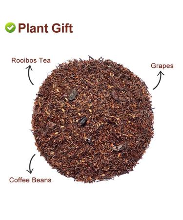Premium Cocoa Rooibos Tea Blend - 70g Loose Leaf | Exotic Mixed Fruit Flavor for Hot & Iced Tea - Buy Online on GoSupps.com