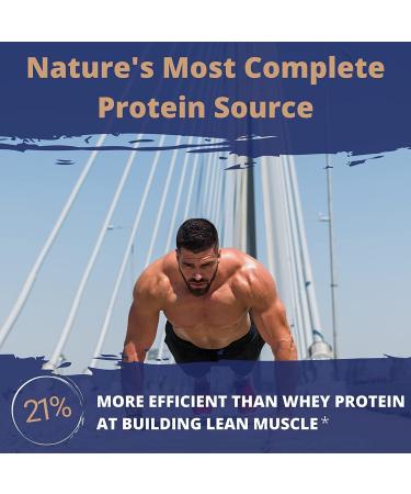 Gaspari Nutrition Proven Egg 100% Egg White Protein - Salted Caramel - 2 lb (900g) - Buy Online on GoSupps.com