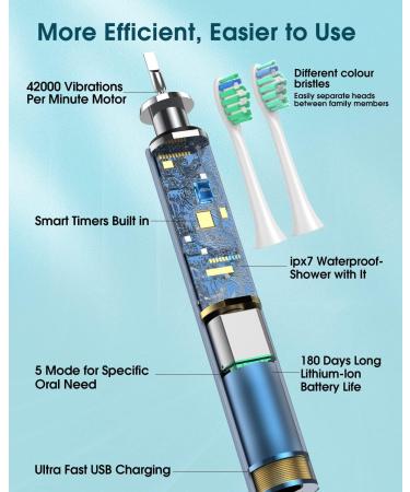 Sonic Electric Toothbrush for Adults - 6 Brush Heads, Holder, Travel Case, Type C Cable - Blue (1 Count) - Buy Online on GoSupps.com