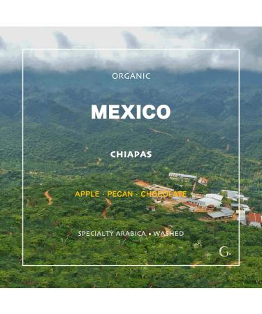 Organic Mexico Chiapas Green Coffee Beans - 5 lb Unroasted - Specialty Arabica - Grand Parade Coffee - Buy Online on GoSupps.com