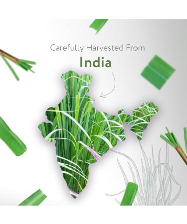 HBNO Organic Lemongrass Essential Oil - 16 oz (475ml) Large Size - Ideal for Shampoos Conditioners Mouth Washes Face wash Lotions and Skin Care Products. - Buy Online on GoSupps.com