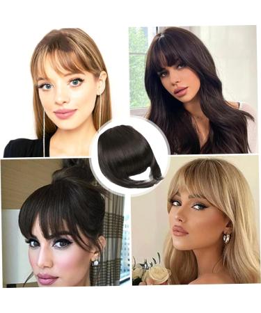 Bangs Hair Clip Fringe Clip In Hair Clip in Fringe High Temperature Fiber Clip in Bangs with Temple Hair Breathable Natural Look Fake Flat Bangs Front Face Fake Fringe for Women Girl Style3 - Buy Online on GoSupps.com
