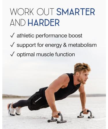 L-Carnitine Capsules 2200mg - L-Carnitine Complex with Vitamins D & B - Reduces Tiredness & Fatigue - Energy & Metabolism Support - 120 Vegan Tablets - High Strength L Carnitine Tartrate Supplement 120 count (Pack of 1) - Buy Online on GoSupps.com