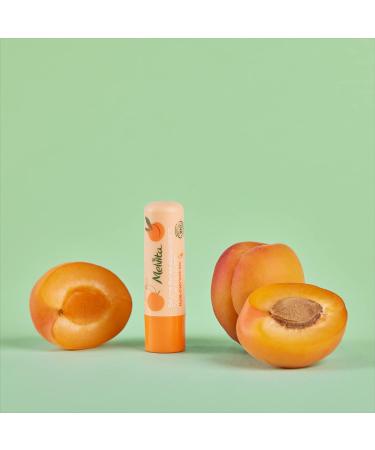 Pleasant Organic Lip Balm | All-Natural Moisturizer for Healthy Lips | International Shipping Available - Buy Online on GoSupps.com