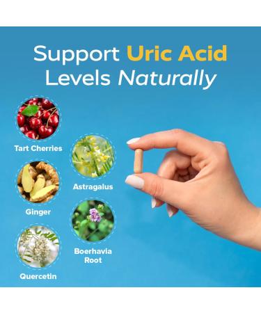 Redd Remedies Gouch! 60 Capsules and Nerve Shield 60 Capsules - Buy Online on GoSupps.com