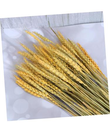 IMIKEYA Rustic Decor 1 Dried Wheat Rural Wheat Natural Wheat Simulation Wheat Dried Flowers Decorative Wheat Ears of Wheat Flower Basket Country Decor Golden 15*42cm - Buy Online on GoSupps.com