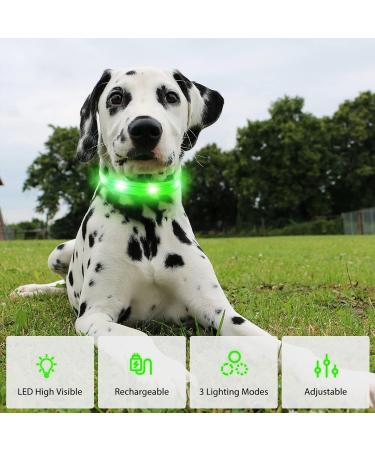 PCEOTLLAR Luminous Dog Collar - Adjustable LED Light Neck Band for All Dog Sizes (Green 28-40cm) - Flashing Reflective Safety Accessory - Buy Online on GoSupps.com