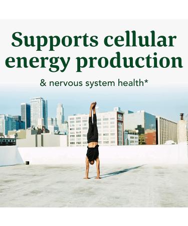 Buy MegaFood Balanced B Complex - 30 Tablets for Energy & Wellness - Buy Online on GoSupps.com