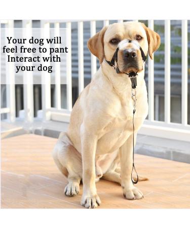 No Pull Dog Halter Training Tool - Soft Upholstery - XL Black - Includes Training Instructions - Buy Online on GoSupps.com