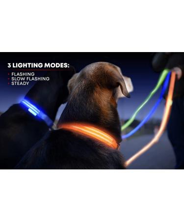 Illumiseen LED Dog Collar USB Rechargeable - Neon Green Large (L) 19-24 - High Visibility Light for Night Walking - Buy Online on GoSupps.com