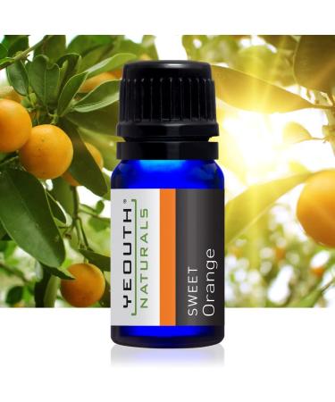 Yeouth Therapeutic Essential Oil Starter Pack - 6 x 10ml - Pure Aromatherapy - Buy Online on GoSupps.com