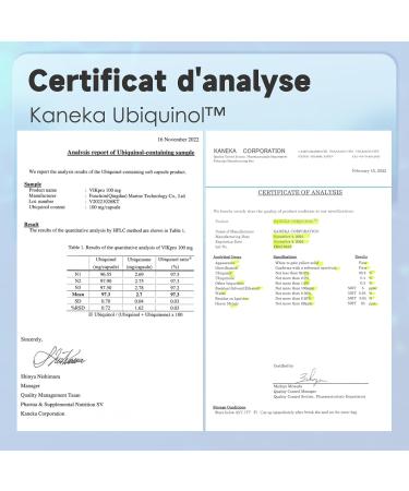 Vikpro Kaneka Ubiquinol Coenzyme Q10 100 mg - High-Quality Q10 Capsules | Natural Yeast Fermentation 60 Pieces Lab Tested 2-Month Supply - Buy Online on GoSupps.com