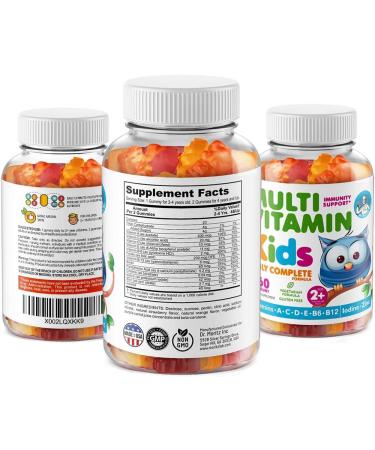 Kids Multivitamin Gummies | 14 Essential Vitamins | Daily Supplement for Ages 2+ | Vegetarian | B6 & B12 | Zinc & Biotin | All Natural Chewables | 120 Count (2 Pack) - Buy Online on GoSupps.com