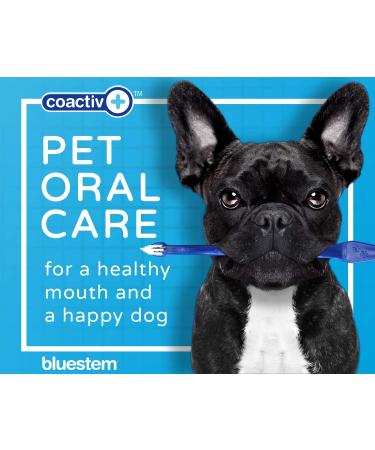 Buy Bluestem Pet Toothbrush Set - Double-Sided Dog & Cat Brushes | Gentle & Effective Teeth Cleaning Kit - Fast International Shipping - Buy Online on GoSupps.com