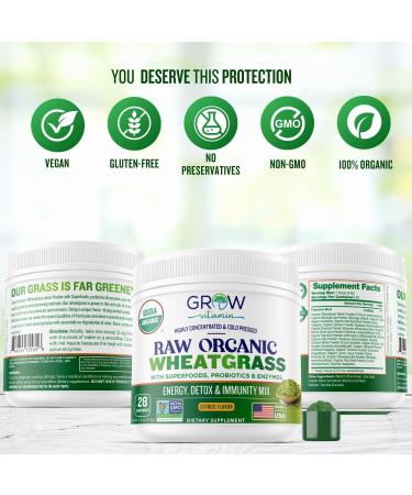 Organic Raw Wheatgrass Juice Powder - USDA Certified Organic Wheatgrass Powder w/Chlorophyll Trace Minerals & Natural Enzymes - Ultra-Concentrated - Citrus Flavor - (28 Servings) Lemon - Buy Online on GoSupps.com