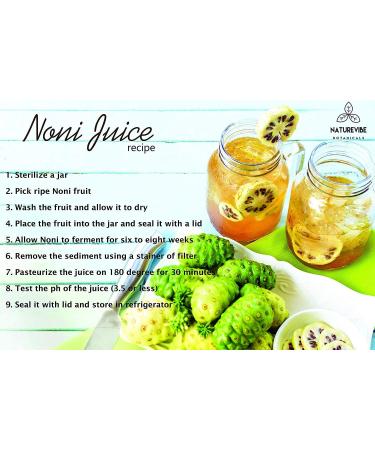 Naturevibe Botanicals Noni Fruit Powder - 8 Ounces | 100% Pure Morinda Citrifolia Supplement - Buy Online on GoSupps.com