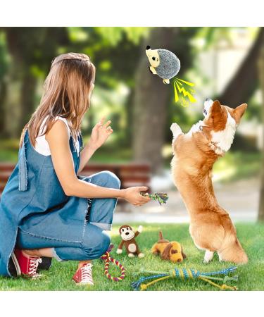 12 Piece Cute Plush Squeak Dog Toys Set | Natural Cotton Puppy Rope & Chicken Tools for Pets | Perfect for Dogs & Puppies - International Shipping - Buy Online on GoSupps.com
