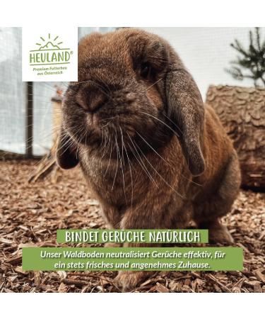 HEULAND Forest Floor Bedding - Natural 10KG for Rabbits Guinea Pigs Chickens & Rodents - Eco-Friendly Pet Care - Buy Online on GoSupps.com