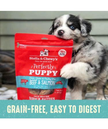 Stella & Chewy's Puppy Dinner Patties - Beef & Salmon 14oz (Pack of 1) - Buy Online on GoSupps.com