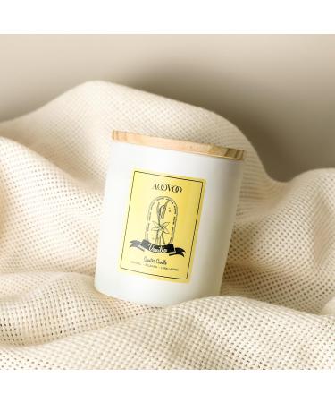 AOOVOO Vanilla Candles - Scented Soy Wax Candles with Crystals 10oz | Perfect Gift for Women & Men | 60H Burn | Ideal for Birthdays & Mother's Day - Buy Online on GoSupps.com