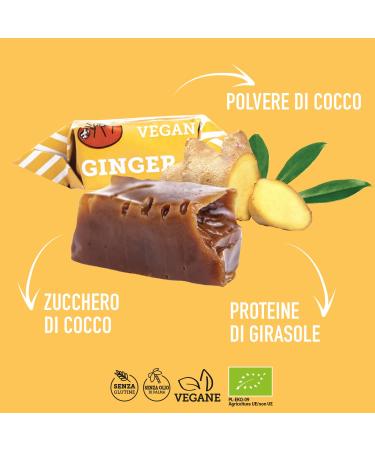 Super Fudgio Vegan Caramel Candies - Gluten-Free Natural Ingredients No Palm Oil 100% Organic Coconut Milk & Sugar | Healthy Snacking - Ginger Ginger - Buy Online on GoSupps.com