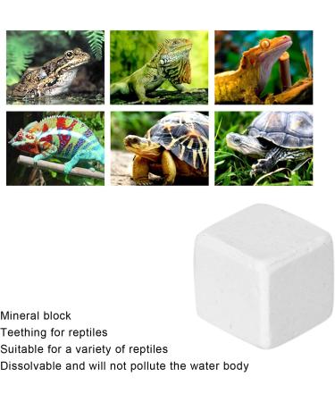 Premium Aquarium Calcium Stone - Essential Trace Elements for Turtles Snails & Reptiles - Ideal for Terrestrial Animals - Buy Online on GoSupps.com