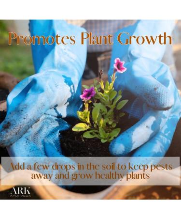 100% Pure Essential Oil | Premium Grade | Made in India (0.33 Fl Oz | 10 ML Neem) Neem 0.33 Fl Oz (Pack of 1) - Buy Online on GoSupps.com