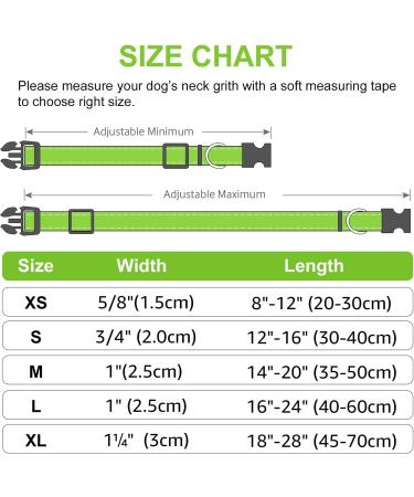 Joytale XL Reflective Dog Collar for Large Dogs Green | Durable & Safe | Pack of 1 - Buy Online on GoSupps.com