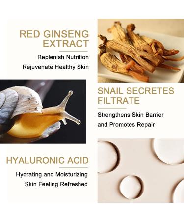 Snail Extracts BB Cream - Foundation for Blemish-free Natural Coverage and Even Skin Tone - Tinted Moisturizer for Women - Suitable for All Skin Types - Buy Online on GoSupps.com