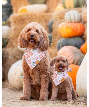 Remy+Roo Dog Bandanas - 4 Pack | Amber Set | Premium Durable Fabric | Unique Shape | Adjustable Fit | XL Size - Buy Online on GoSupps.com
