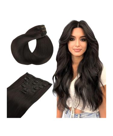 Hair Extensions Clip in Human Hair Extensions Smooth Straight Human Hair Extension Hair Clips Natural Hairpiece for Women Hair Pieces(2 14inch(35cm)) 14inch(35cm) 2