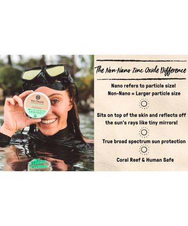 Raw Elements Face and Body Mineral Sunscreen SPF 30+ - 95% Organic, Water Resistant, Reef Safe, Cruelty Free - 3oz Bio-Resin Tube, Moisturizing Formula - All Ages Safe - Buy Online on GoSupps.com