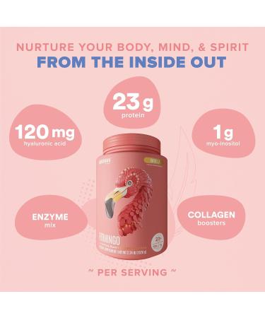 BIRDMAN Fitmingo Vegan Protein Powder with Inositol, Collagen Boosters, Hyaluronic Acid and Vitamins | Low Carb, Dairy Free, Lactose Free, Low Calorie | 23g Plant Based Vanilla Protein Powder - Buy Online on GoSupps.com