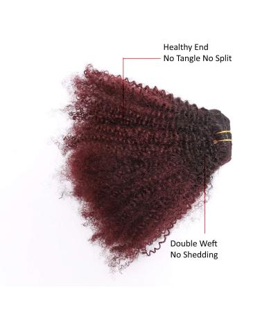 Loxxy Afro Kinkys Curly Hair Extensions Clip In - 10 Inch 4B 4C Natural Hair Clip Ins - Virgin Brazilian Human Hair for Black Women - Red Brown Ombre 1B/99J - Buy Online on GoSupps.com