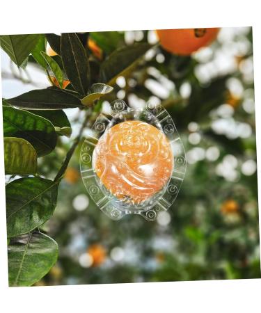 CAXUSD Shaped Fruitful Small Fruit Watermelon - Buy Online on GoSupps.com