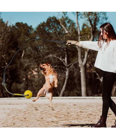 Tekcam Flirt Pole for Dogs | Interactive Tug Ball Toy for Training | Durable Outdoor Chewing Stick for Small to Large Breeds - Buy Online on GoSupps.com