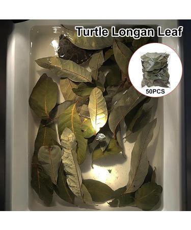 240 Pieces Catappa Leaves - Fish Tank Longan Leaves - Almond Leaves for Betta Fish Tank Water Treatments | Leaves Induce Breeding and Boost Immunity PH Down Aquarium Water Conditioner - Buy Online on GoSupps.com