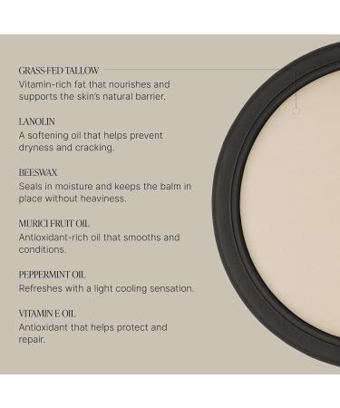 TALOVA - Peppermint Grass-Fed Tallow Lip Balm, Lip Sleeping Mask, Overnight Moisturizer, Natural & Clean Moisturizing Lip Balm w/Vitamins A, D, E, & K, Nourishes & Smooths Texture, Dry & Chapped Lips - Buy Online on GoSupps.com