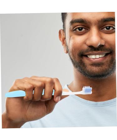 FRCOLOR 5pcs Small Head Fixed Brushes - Portable Household & Travel Accessories - Buy Online on GoSupps.com