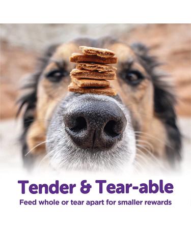 Wellness Soft & Chewy Dog Treats - Beef & Turkey Flavor | Healthy Rewards - Buy Online on GoSupps.com
