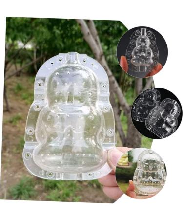 Abaodam 4 Pcs Vegetable Shaping Mold Computer Accessories Growing Mold for Garden Transparent Shaping Mold - Buy Online on GoSupps.com