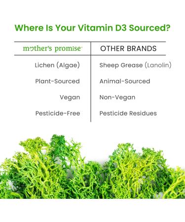 Mother's Promise Organic Baby Vitamin D Drops | 100% Plant Based | Healthy Growth & Bone Development | Age Newborn+ | 180 Servings | Baby Vitamin D3 Liquid for Infants & Toddlers | 400 IU for Babies 0.17 Fl Oz (Pack of 1) - Buy Online on GoSupps.com