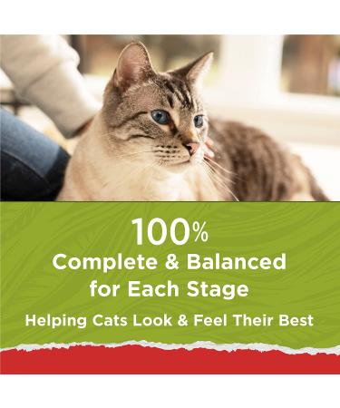 Purina Cat Chow Naturals Original with Real Chicken & Salmon, 13 lb - Adult Dry Cat Food - Buy Online on GoSupps.com