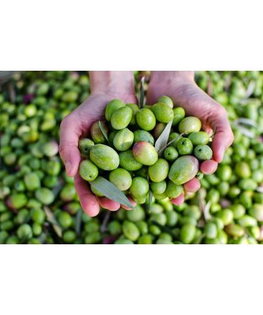  W rzteufel AMPHORE IRGIZIA - Lemon oil extra virgin olive oil and lemon essential oil from Italy. Unfiltered. Cold-pressed. Traditionally made in a family business - Greece - AMPHORE IRGIZIA - 250 ml bottle - Buy Online on GoSupps.com