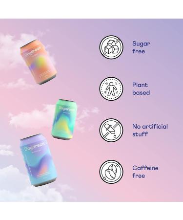 Daydream BlackBerry Chai Sparkling Water 355 Grams 12 Count - Buy Online on GoSupps.com